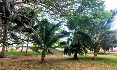 Terreno en venta vía Atacames  Sua 12.520m2