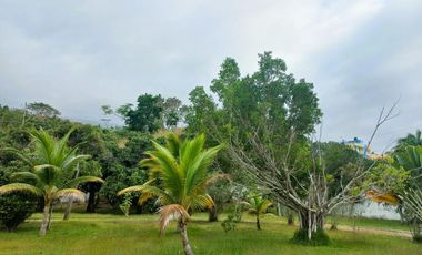 Terreno en venta vía Atacames  Sua 12.520m2