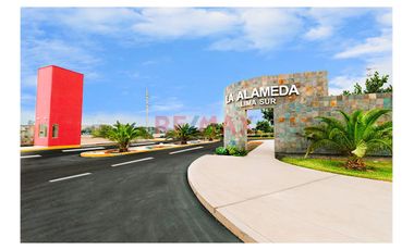 Terreno En Esquina | Alameda Lima Sur - Chilca