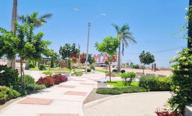 Terreno En Esquina | Alameda Lima Sur - Chilca