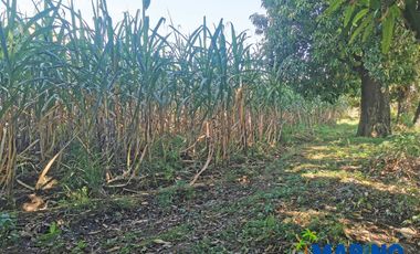 Terreno estratégico en Yautepec