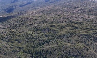 SE VENDE HERMOSO PREDIO DE 769 HECTAREAS, RÍO LOS ÑADIS, COMUNA DE COCHRANE, REGION DE AYSEN
