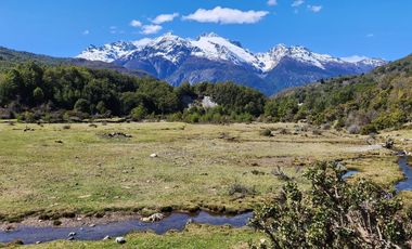 SE VENDE HERMOSO PREDIO DE 769 HECTAREAS, RÍO LOS ÑADIS, COMUNA DE COCHRANE, REGION DE AYSEN