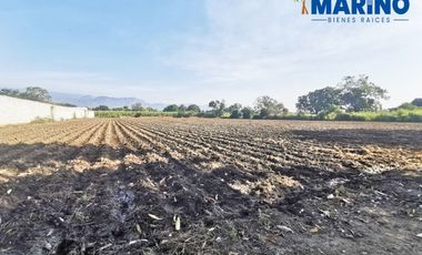 Terreno de riego en Yautepec
