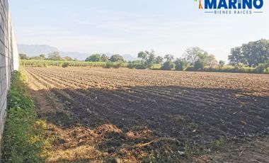 Terreno de riego en Yautepec