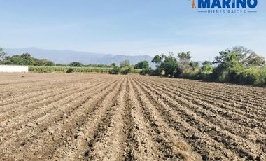 Terreno de riego en Yautepec
