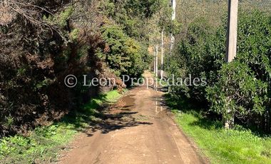 Leon Propiedades vende o arrienda parcela con casa en Campo lindo, Curacaví.