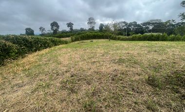 LOTE CAMPESTRE EN ALCALA VALLE DEL CAUCA