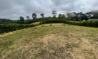 LOTE CAMPESTRE EN ALCALA VALLE DEL CAUCA