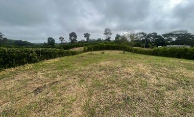 LOTE CAMPESTRE EN ALCALA VALLE DEL CAUCA