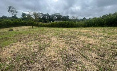 LOTE CAMPESTRE EN ALCALA VALLE DEL CAUCA