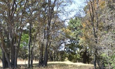 Terreno de uso comercial o habitacional a la venta, San Pablo del Monte