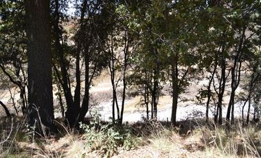 Terreno de uso comercial o habitacional a la venta, San Pablo del Monte