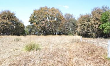 Terreno de uso comercial o habitacional a la venta, San Pablo del Monte