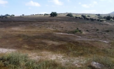 Terreno En Venta- Tepeji-Sector Industrial