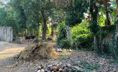RESIDENTIAL LOT FOR SALE ID 14933