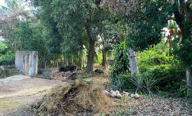 RESIDENTIAL LOT FOR SALE ID 14933