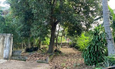 RESIDENTIAL LOT FOR SALE ID 14933