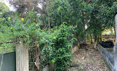 RESIDENTIAL LOT FOR SALE ID 14933