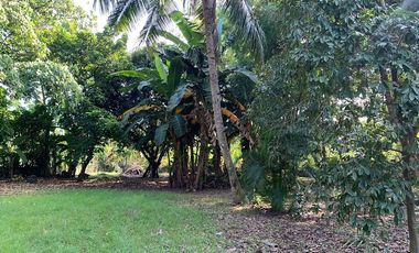 RESIDENTIAL LOT FOR SALE ID 14933