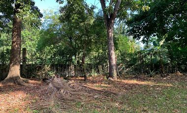 RESIDENTIAL LOT FOR SALE ID 14933