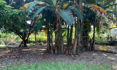 RESIDENTIAL LOT FOR SALE ID 14933