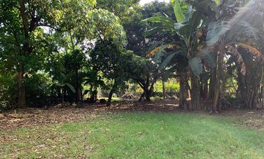 RESIDENTIAL LOT FOR SALE ID 14933