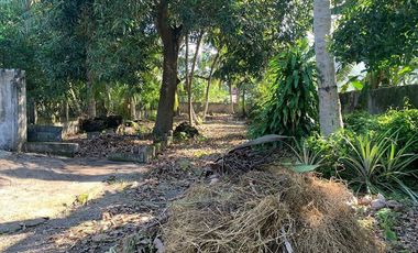 RESIDENTIAL LOT FOR SALE ID 14933