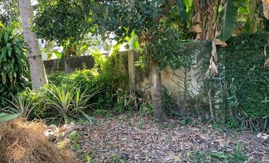 RESIDENTIAL LOT FOR SALE ID 14933
