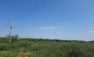 VENDO TERRENO AGRICOLA DE 4.4 HA UBICADO EN SAN LORENZO PIURA