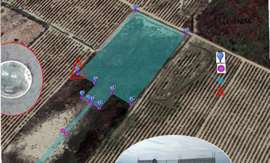 VENDO TERRENO AGRICOLA DE 4.4 HA UBICADO EN SAN LORENZO PIURA