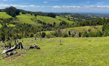 Campo a una hora de Puerto Varas de 8,6 hectáreas con hermosa vista