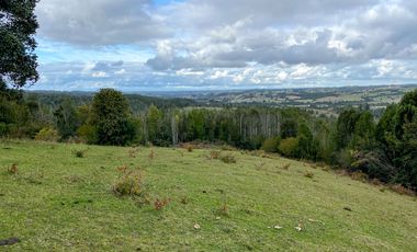Campo a una hora de Puerto Varas de 8,6 hectáreas con hermosa vista