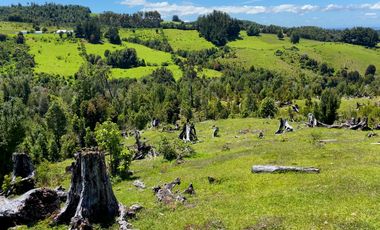 Campo a una hora de Puerto Varas de 8,6 hectáreas con hermosa vista