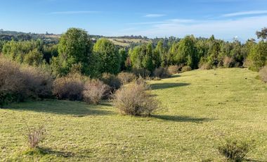 Campo a una hora de Puerto Varas de 8,6 hectáreas con hermosa vista