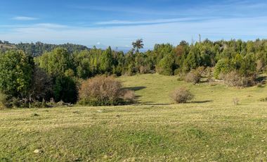 Campo a una hora de Puerto Varas de 8,6 hectáreas con hermosa vista