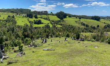 Campo a una hora de Puerto Varas de 8,6 hectáreas con hermosa vista