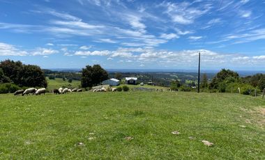 Campo a una hora de Puerto Varas de 8,6 hectáreas con hermosa vista