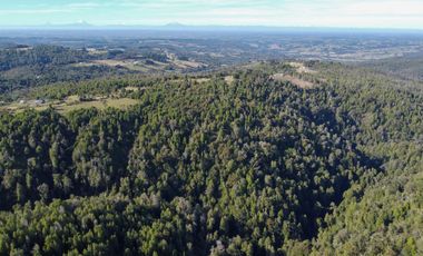 Campo de 40,6 hectáreas con todo lo necesario!