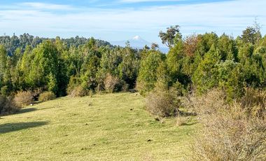 Campo de 40,6 hectáreas con todo lo necesario!