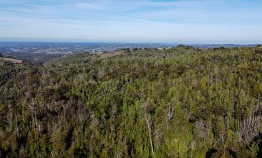 Campo de 40,6 hectáreas con todo lo necesario!