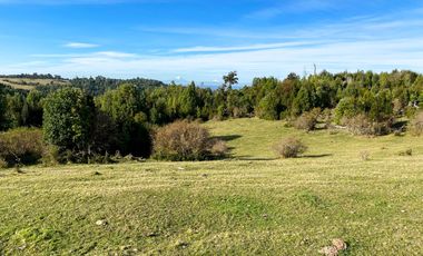 Campo de 40,6 hectáreas con todo lo necesario!