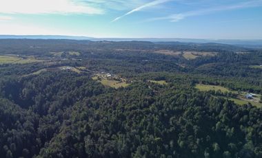 Campo de 40,6 hectáreas con todo lo necesario!