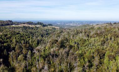 Campo de 40,6 hectáreas con todo lo necesario!
