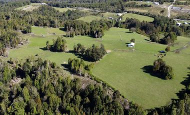 Campo en Fresia de 19,43 Hectáreas con Vivienda y Oportunidad Agrícola