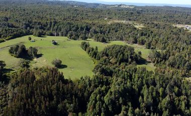 Campo en Fresia de 19,43 Hectáreas con Vivienda y Oportunidad Agrícola