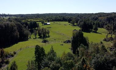 Campo en Fresia de 19,43 Hectáreas con Vivienda y Oportunidad Agrícola