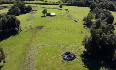 Campo en Fresia de 19,43 Hectáreas con Vivienda y Oportunidad Agrícola