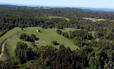 Campo en Fresia de 19,43 Hectáreas con Vivienda y Oportunidad Agrícola