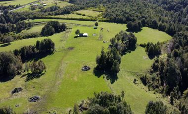 Campo en Fresia de 19,43 Hectáreas con Vivienda y Oportunidad Agrícola